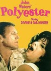 Polyester (1981).jpg